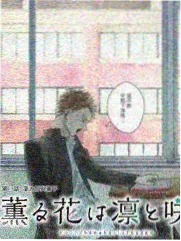 幻岛秘境场景图